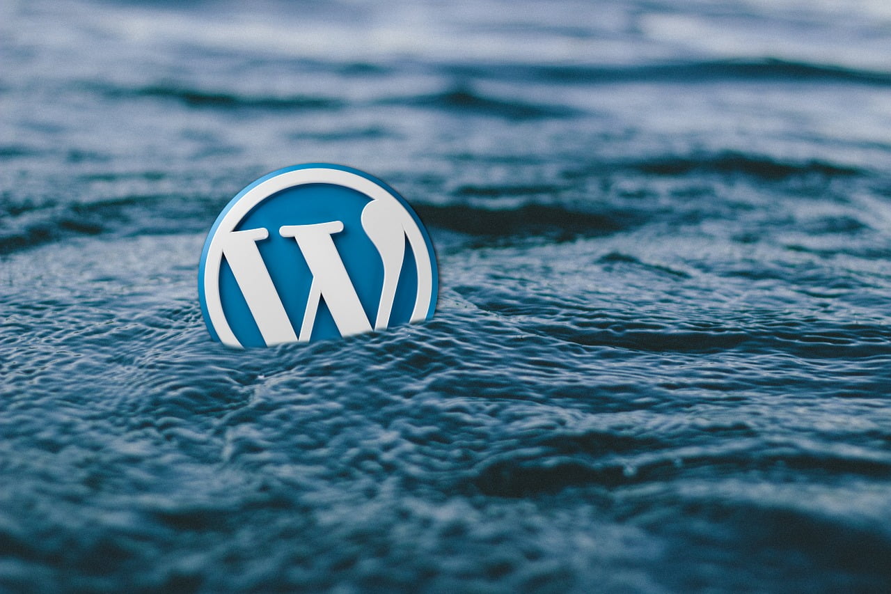 Optimizing WordPress Website Speed and Performance